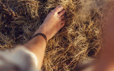 Listening to the Land